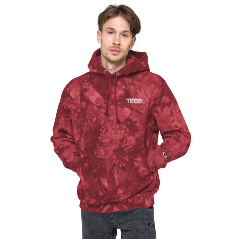 Unisex Champion Hoodie - Image 10