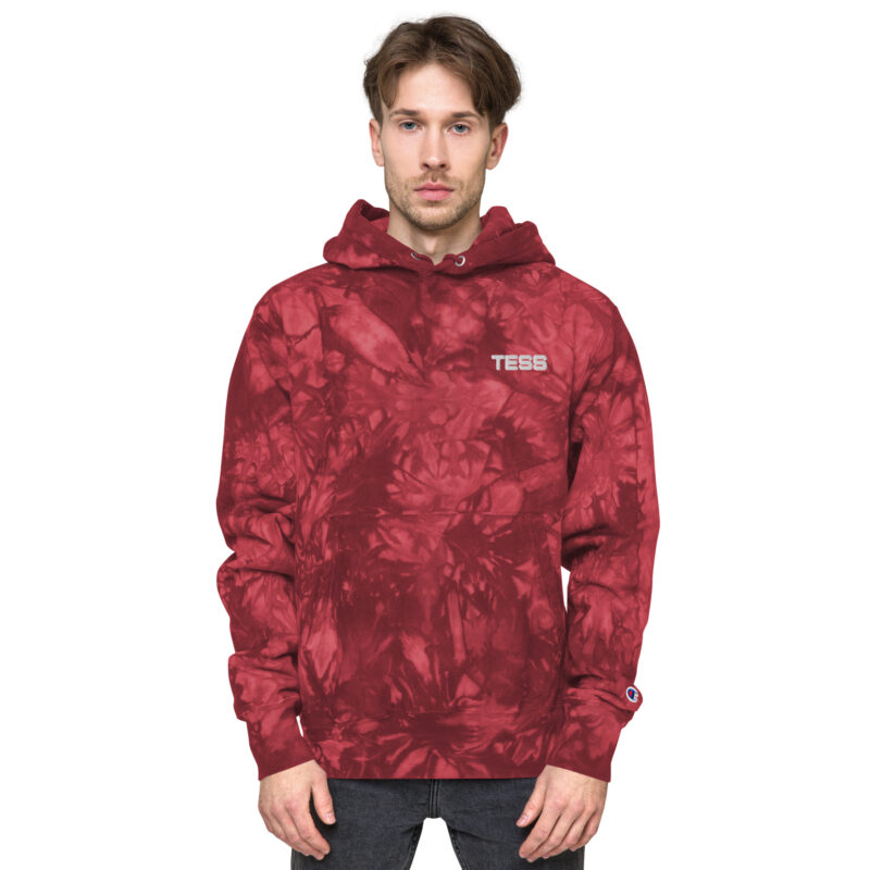 Unisex Champion Hoodie - Image 9