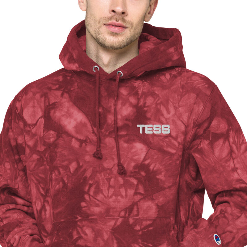 Unisex Champion Hoodie - Image 11
