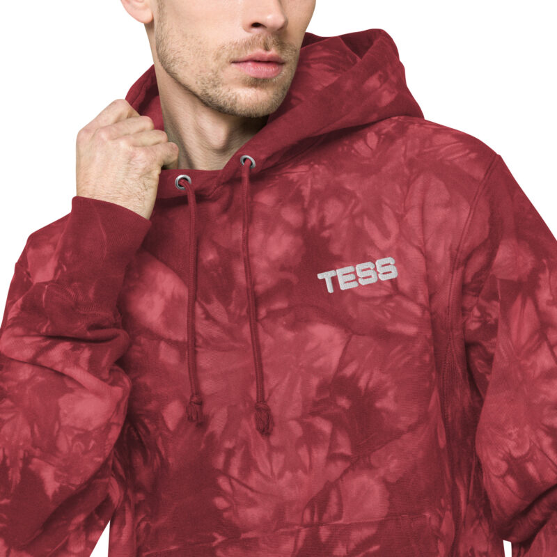 Unisex Champion Hoodie - Image 12